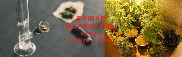амф Ветлуга