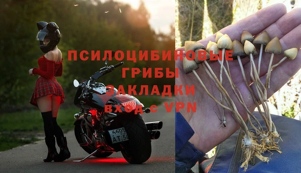 эйфоретик Магас