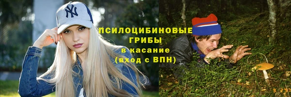 эйфоретик Магас