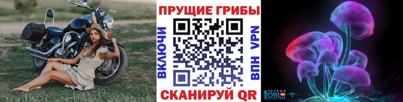 blacksprut вход  что такое   Мантурово  Псилоцибиновые грибы ЛСД 